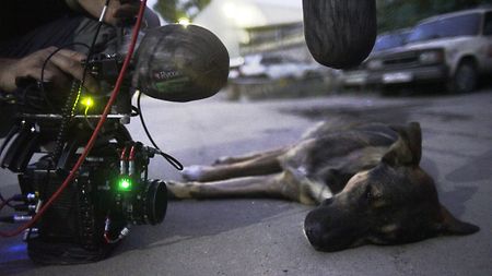 05-space-dogs-film-still-arri-alexa-mini