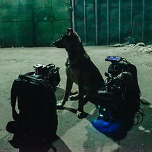 "Space Dogs" - behind the scenes