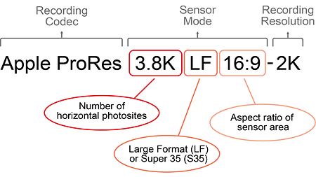 camera_faq_minilf_recording_format_names_sup_7.0