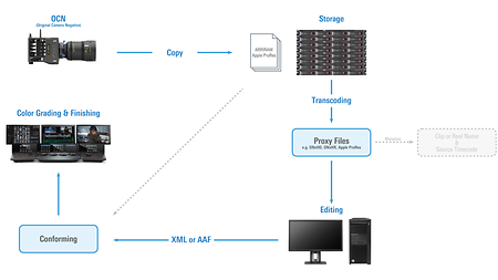 Infographic showing the data flow from set to post