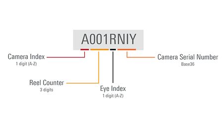 Infographic describing the parts of the reel name of an ALEXA Classic/Mini LF magazine