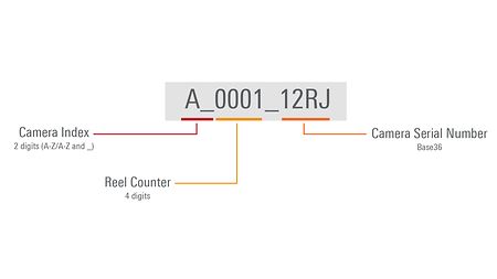 Infographic describing the parts of the reel name of an ALEXA 35 magazine