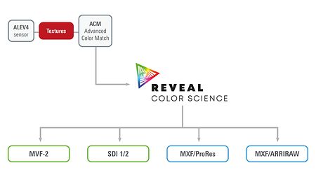 Infographic describing ALEXA' 35s image pipeline in a simplified way