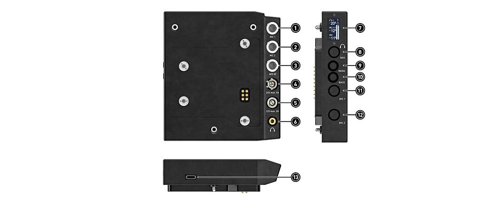 AEM-1_Inputs_Outputs_image