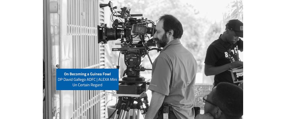 13-Gallery-neu_ARRI-cannes-on-becoming-a-guinea-fowl-dp-david-gallego-alexa-mini