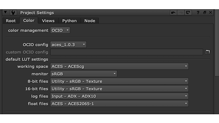 wkflw_old-aces_postpro_Revised-Nuke-OCIO-project-settings